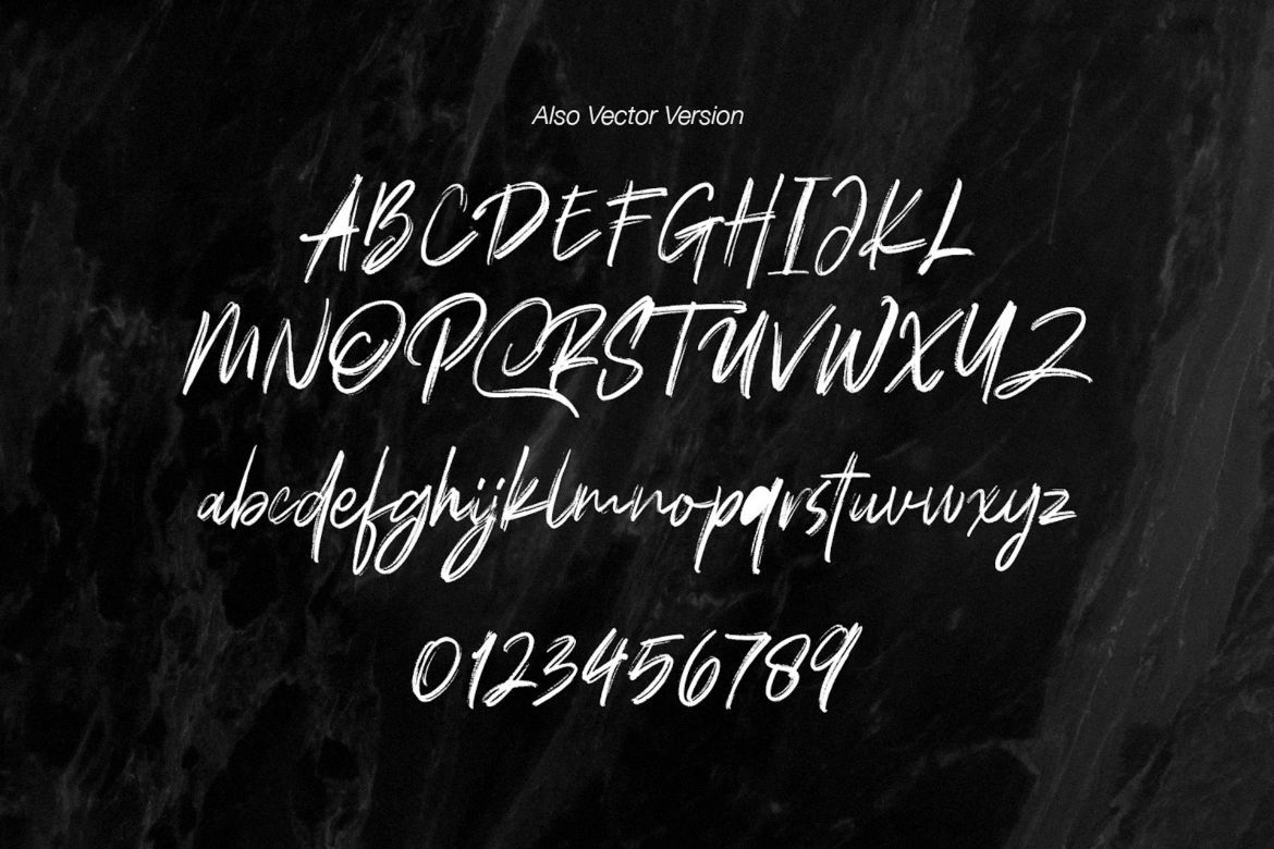 Polandic SVG Brush Font - view 10