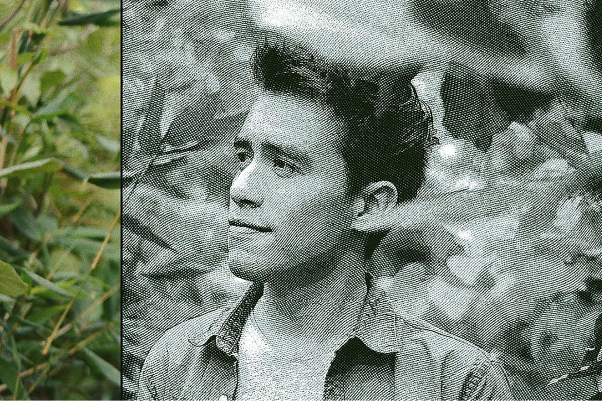 Engrave Photoshop Action - view 8