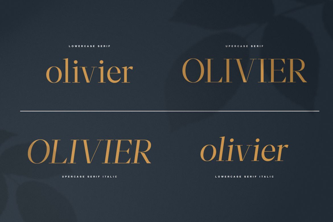 Moriarty Serif Font - view 4