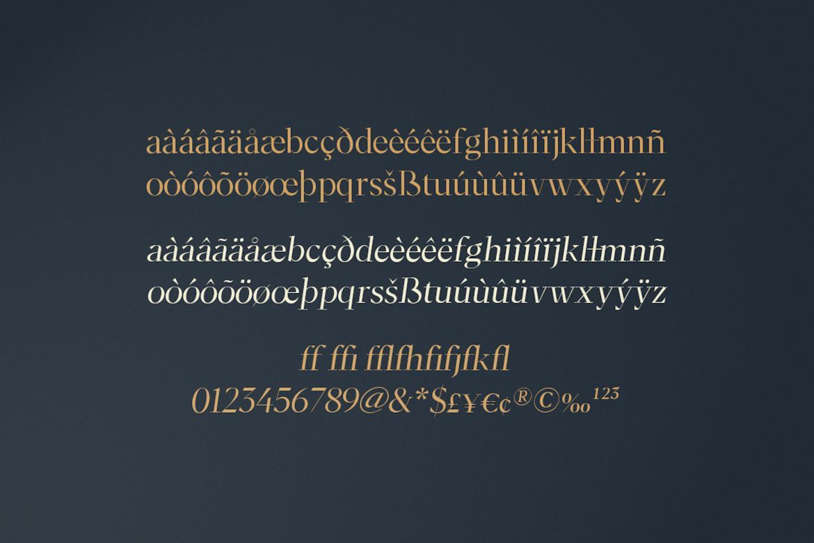Moriarty Serif Font - view 10
