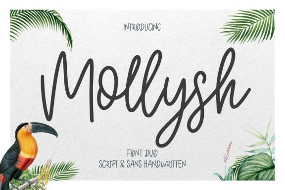 Mollysh Calligraphy Font