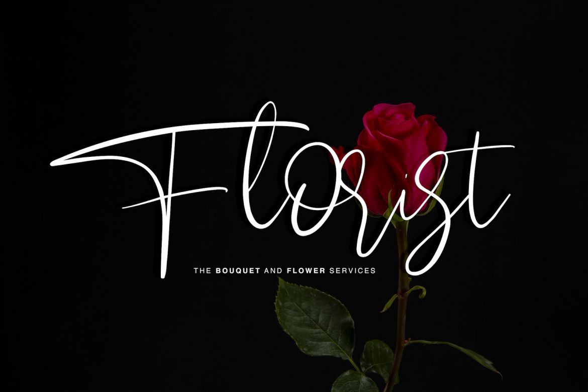 Hogart Script - view 3