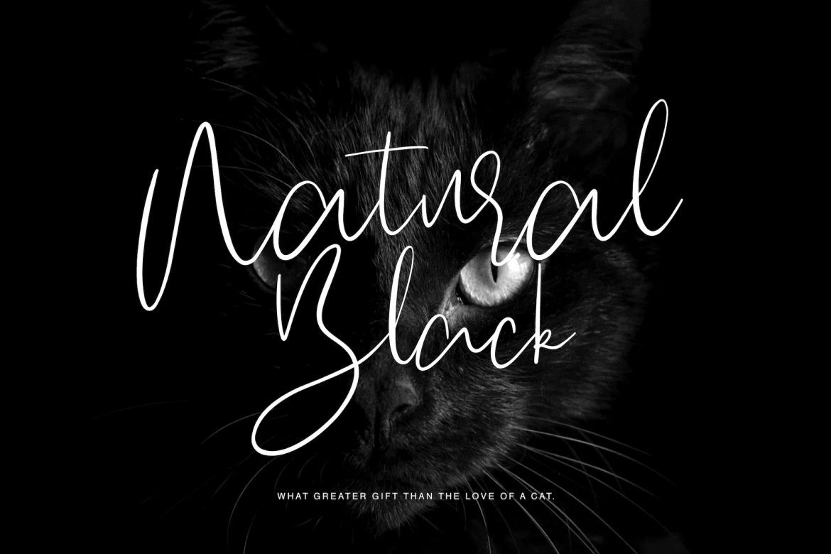 Hogart Script - view 6