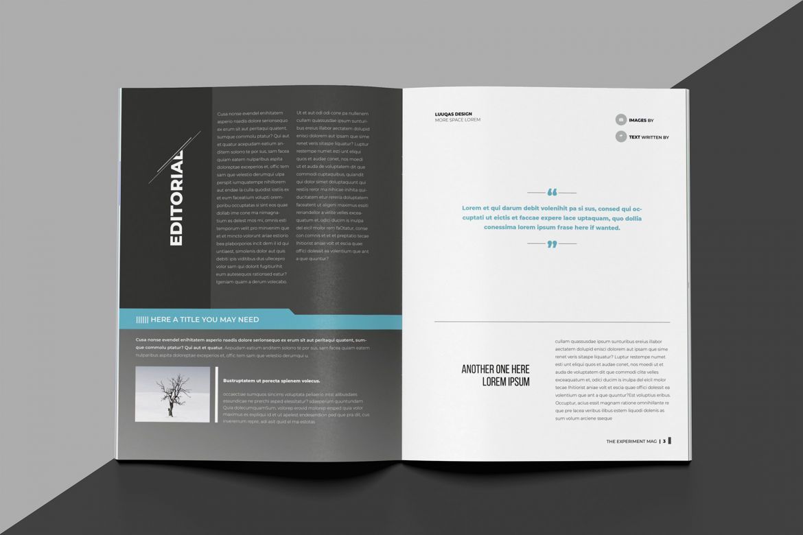 Experiment Indesign Template alternate