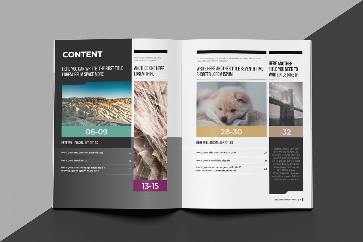 Experiment Indesign Template - view 3