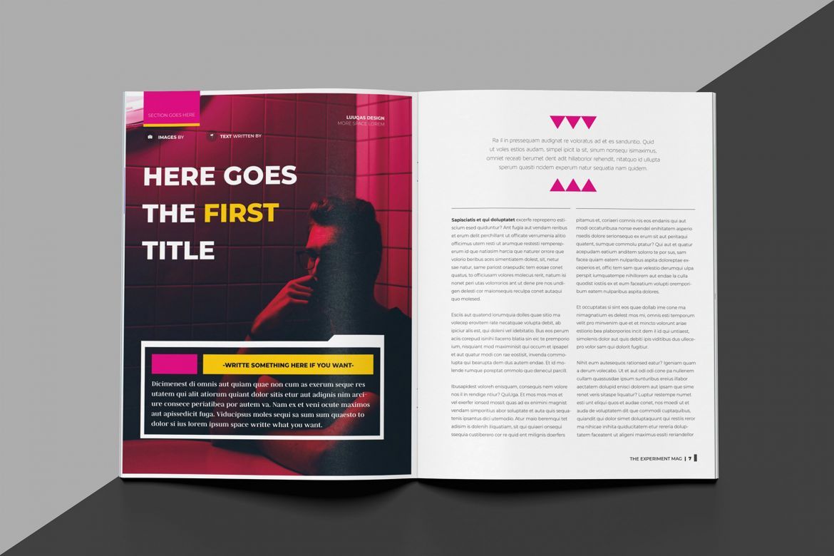 Experiment Indesign Template - view 5