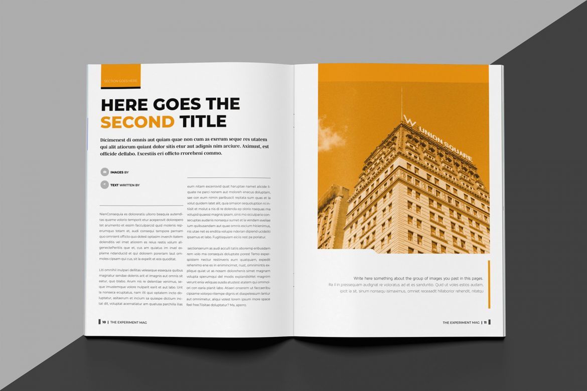 Experiment Indesign Template - view 6