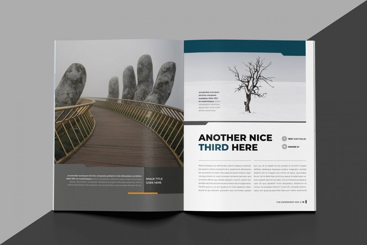 Experiment Indesign Template - view 8