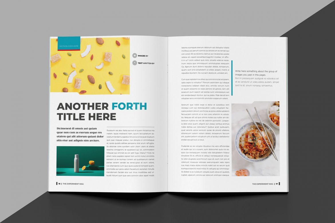 Experiment Indesign Template - view 9