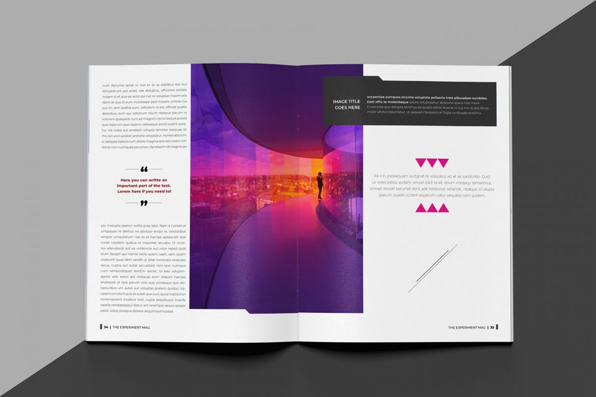 Experiment Indesign Template - view 17