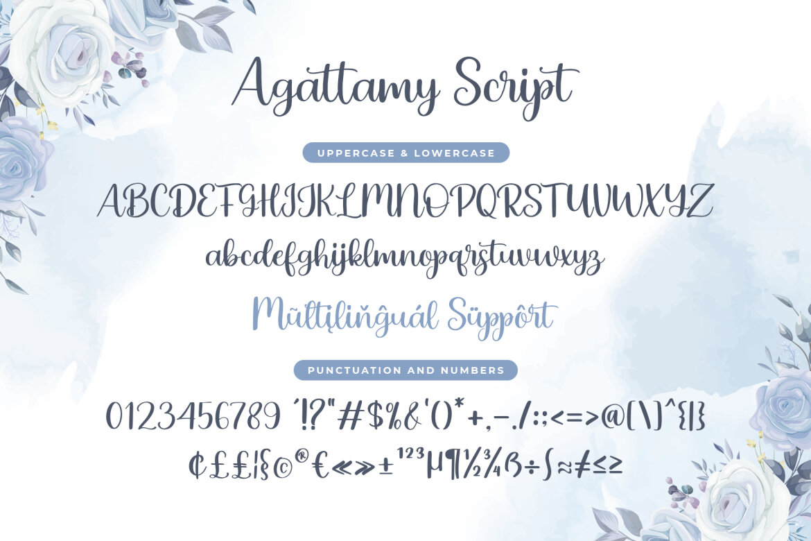 Agattamy FREE Script Font - view 4