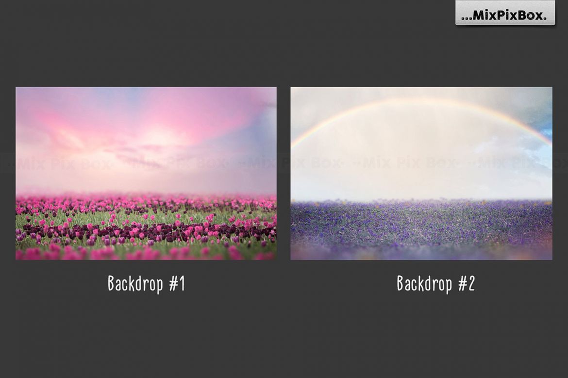 Unicorn PNG Overlays Pack+ Backdrops - view 5