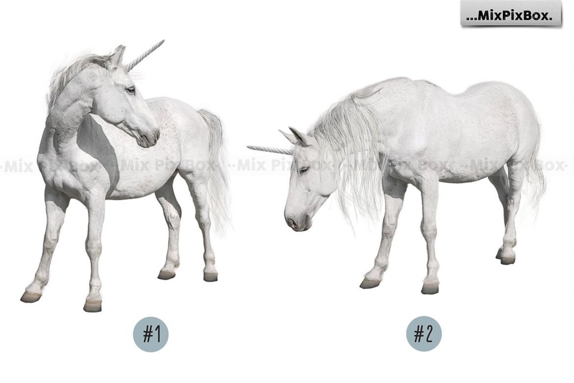 Unicorn PNG Overlays Pack+ Backdrops - view 7