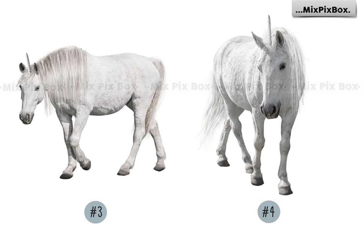 Unicorn PNG Overlays Pack+ Backdrops - view 8