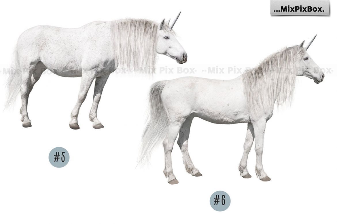 Unicorn PNG Overlays Pack+ Backdrops - view 9
