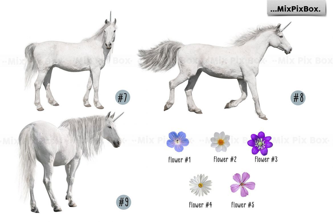 Unicorn PNG Overlays Pack+ Backdrops - view 10