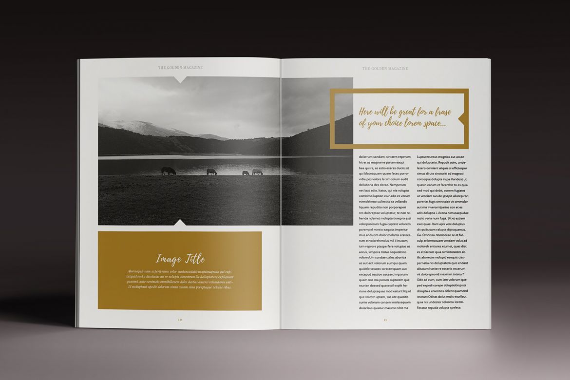 Golden Magazine Indesign Template - view 6