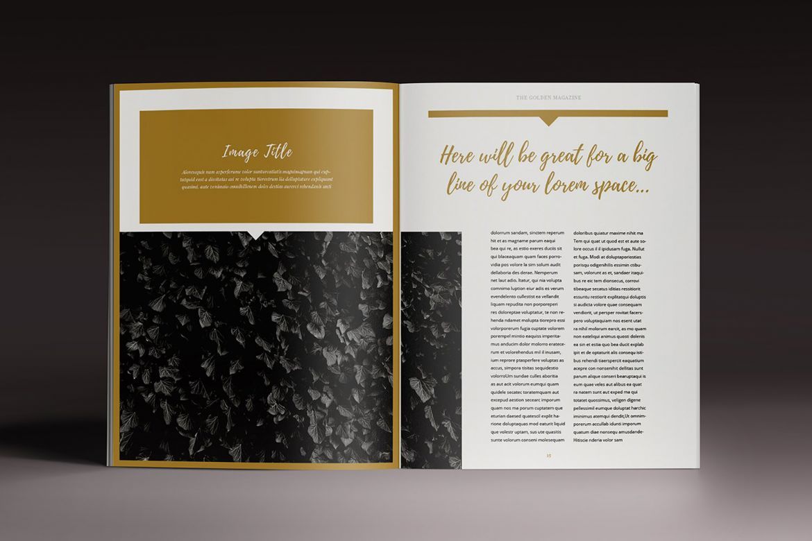 Golden Magazine Indesign Template - view 8