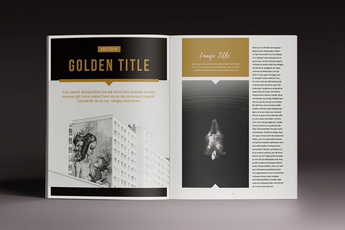 Golden Magazine Indesign Template - view 16