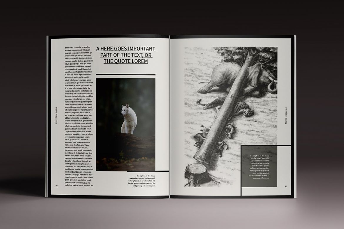 Moore Indesign Template - view 16