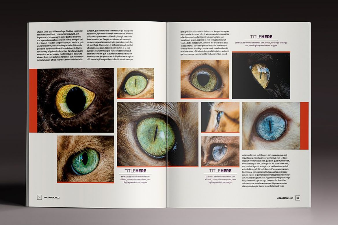 Colorful Indesign Template - view 8