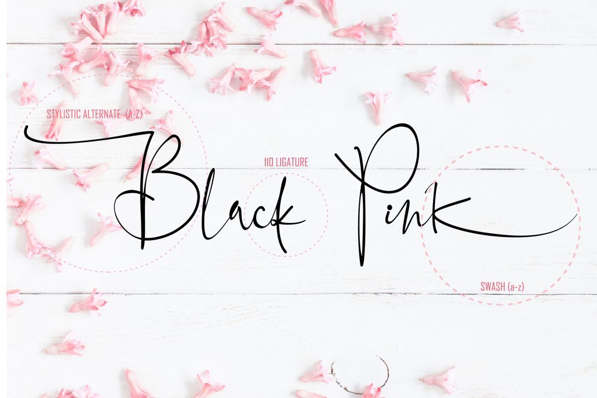 Black Pink Signature - view 10