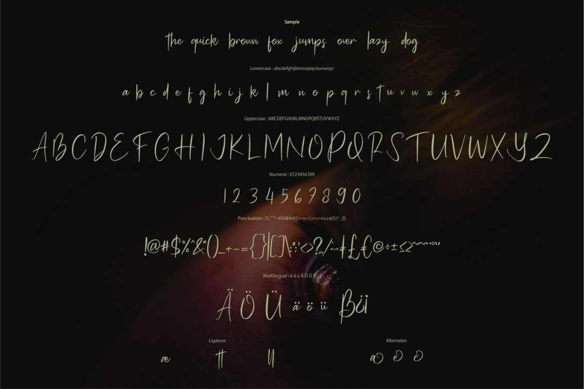 Bella Rosa - FREE Modern Signature - view 6