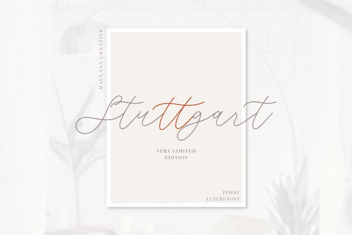 Weisston - Script Font - view 5