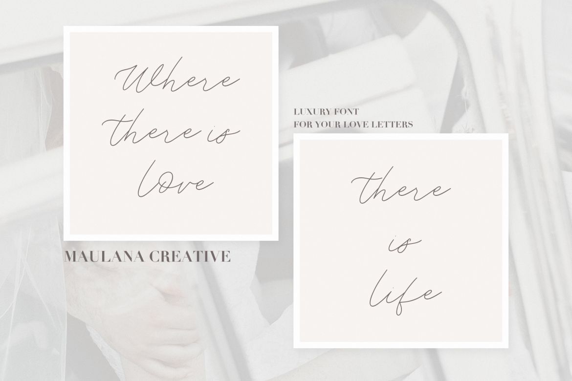 Weisston - Script Font - view 9