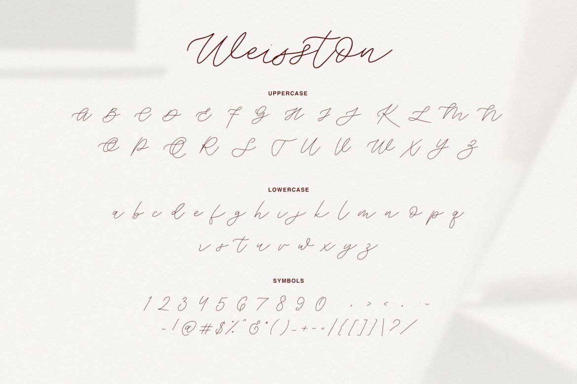 Weisston - Script Font - view 10