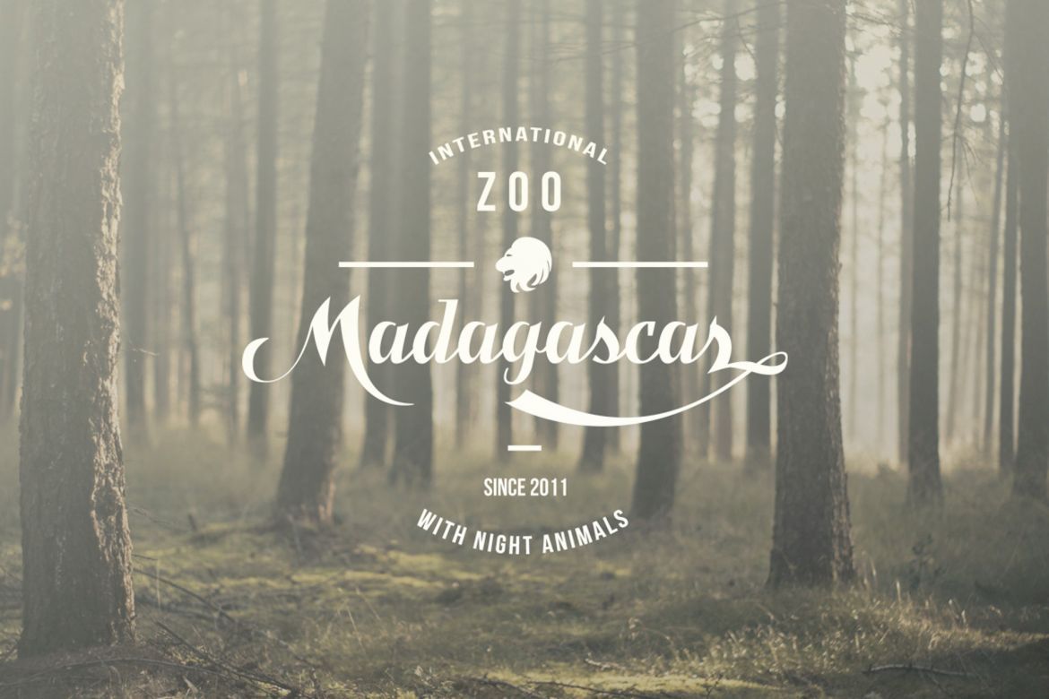 Benihana Vintage Font - view 12