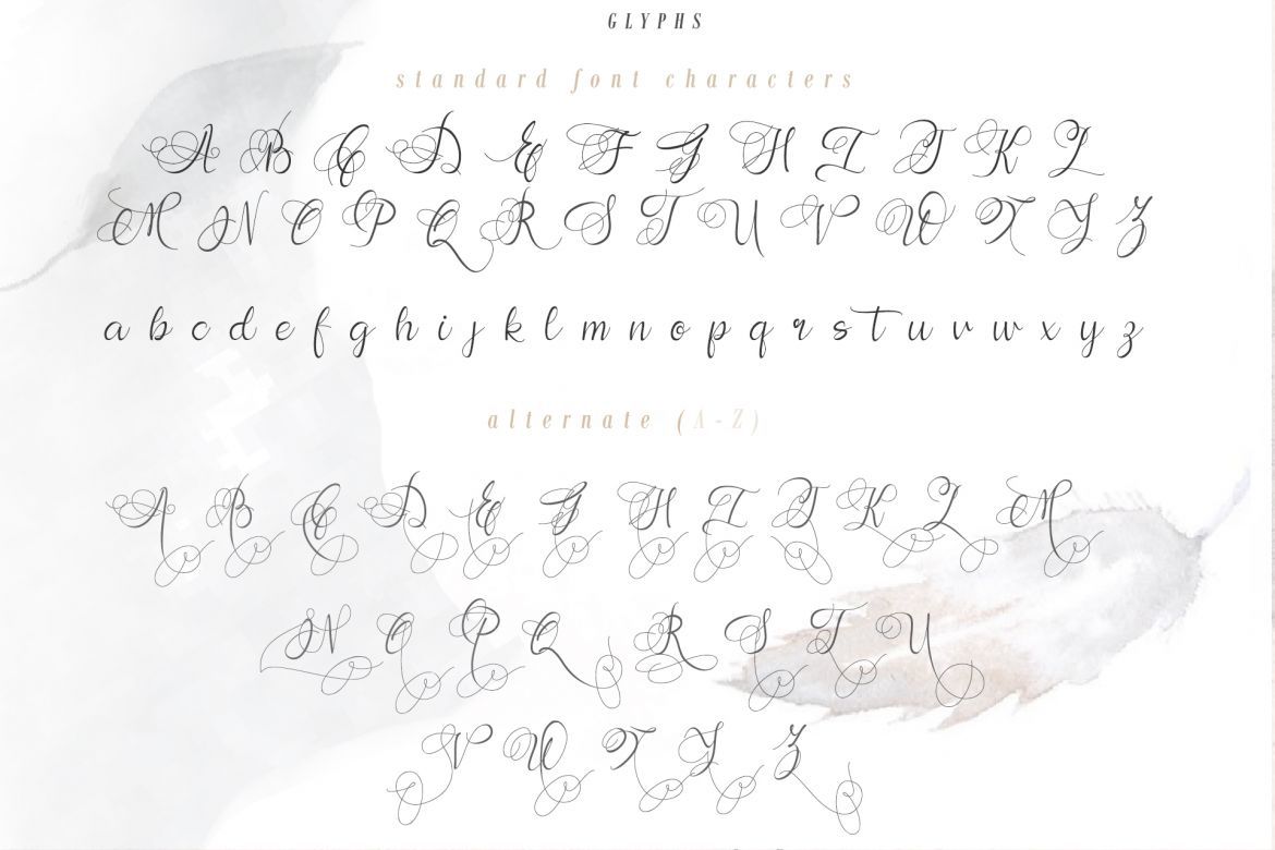 Andora Script - view 10