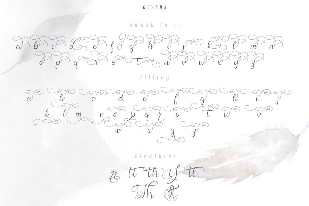 Andora Script - view 11