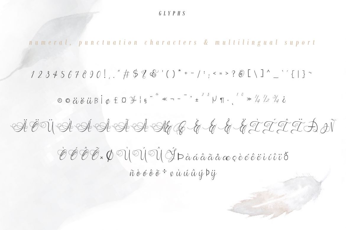 Andora Script - view 12