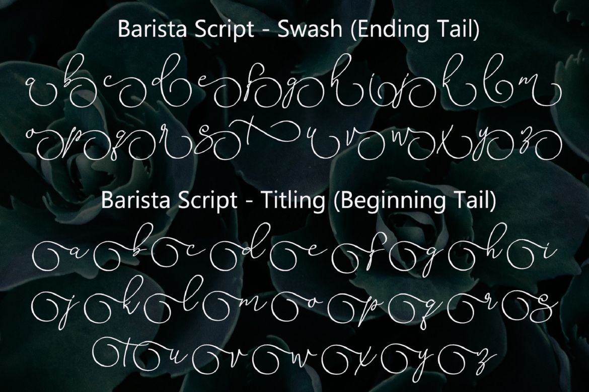 Barista Script - view 4