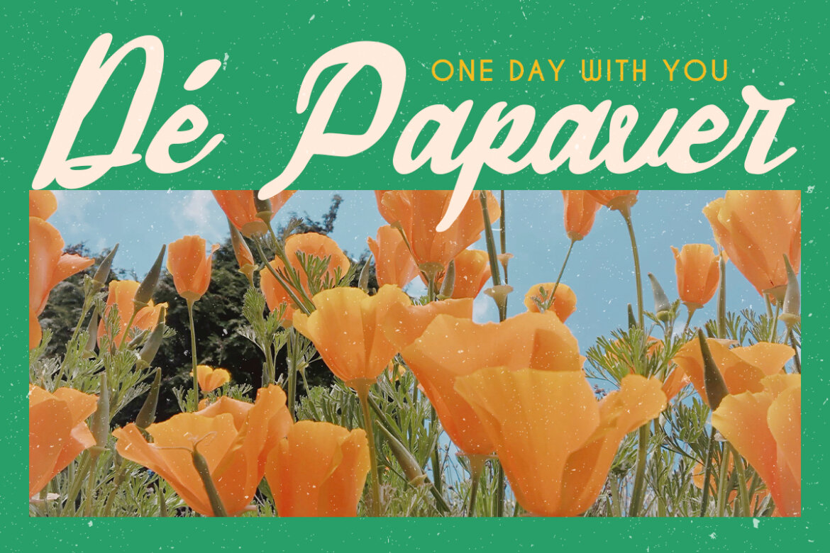 Sachila FREE Handwritten Script - view 8