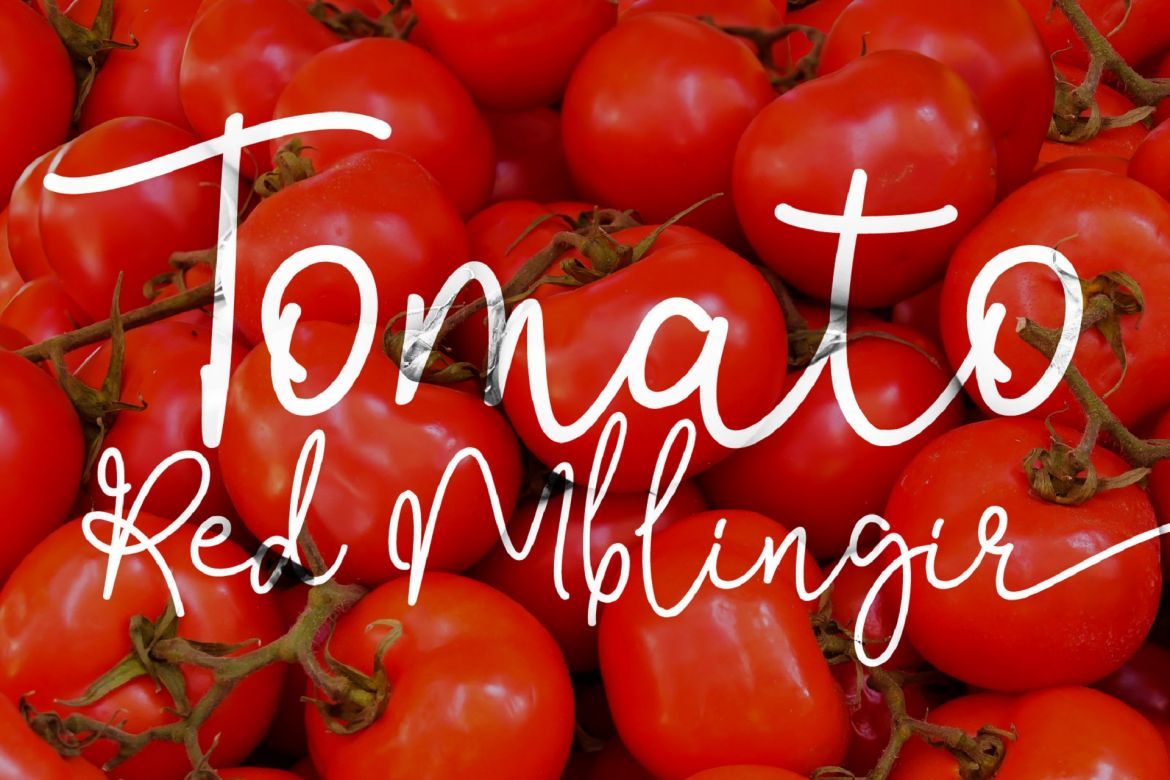 Bendina Sambat - view 6