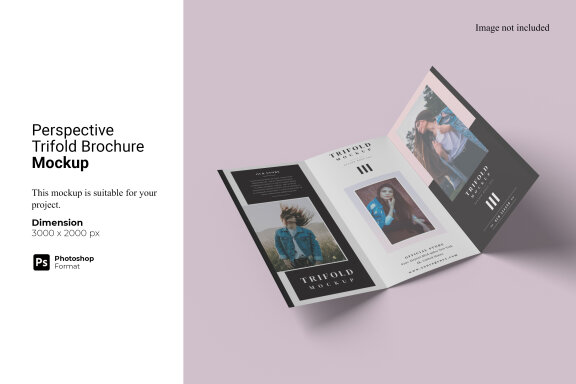 Perspective Trifold Brochure FREE Mockup - view 1