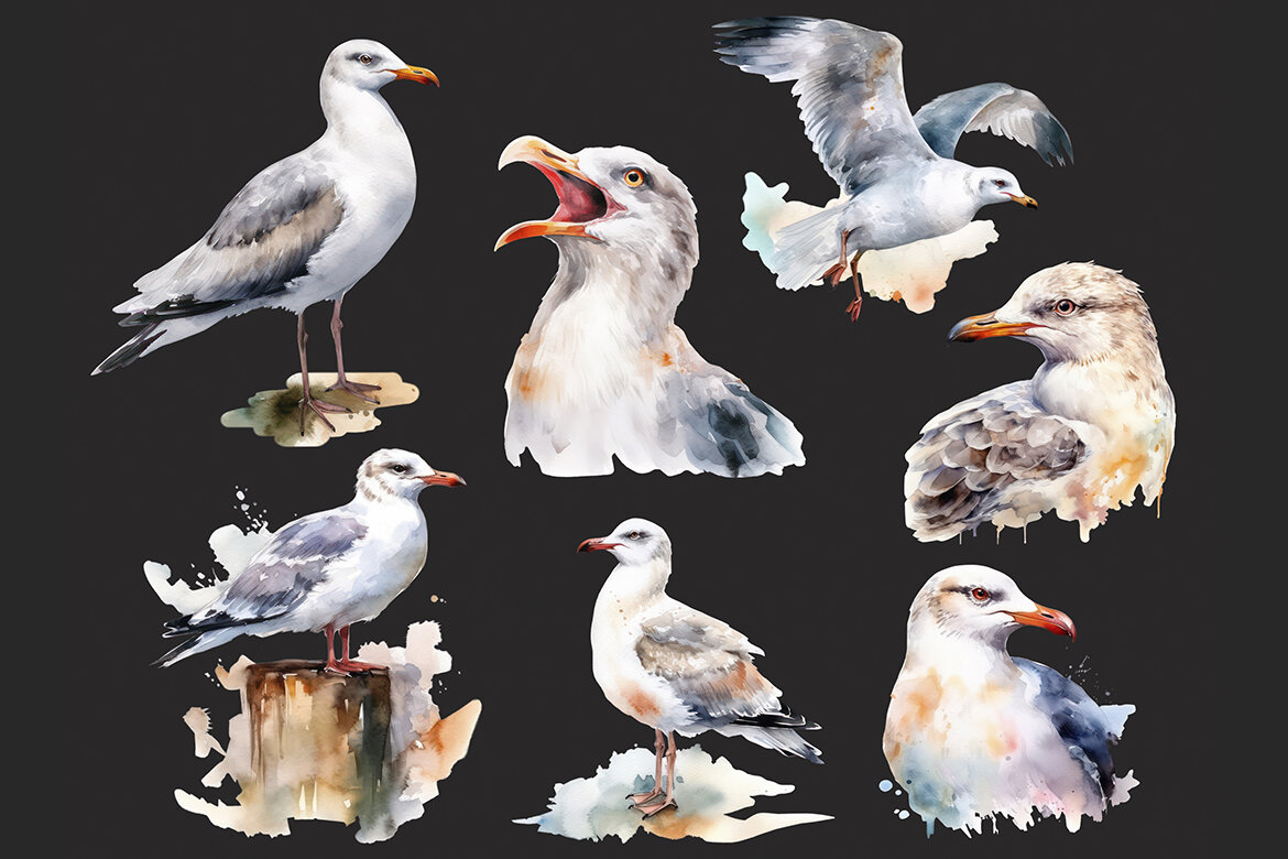FREE Watercolor Seagull PNG Bundle - view 5