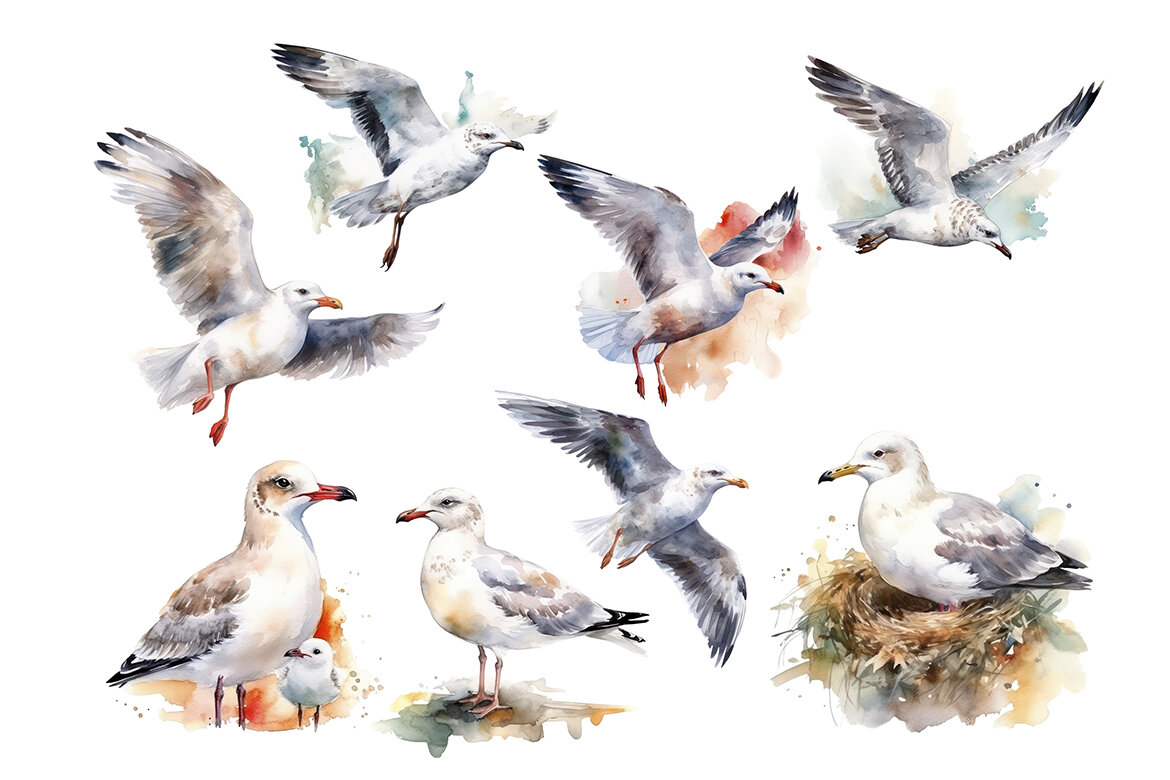 FREE Watercolor Seagull PNG Bundle alt