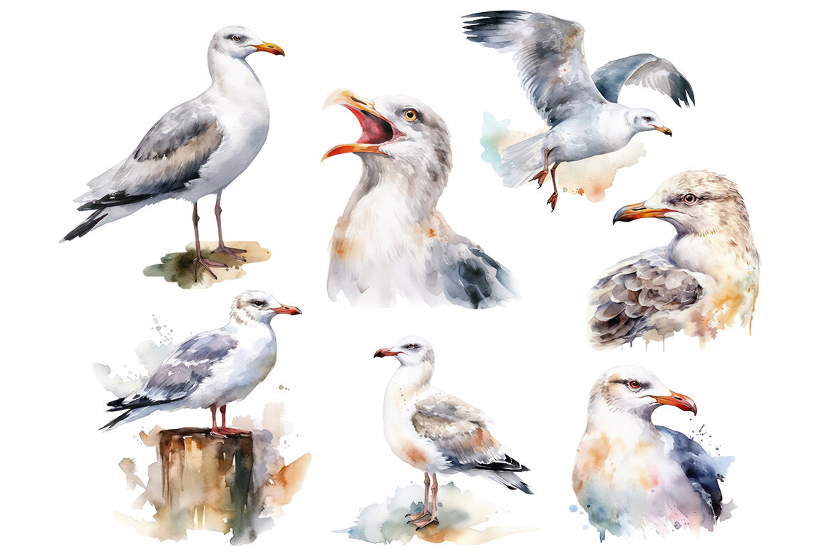 FREE Watercolor Seagull PNG Bundle - view 4