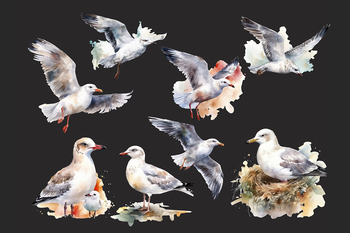 FREE Watercolor Seagull PNG Bundle - view 3