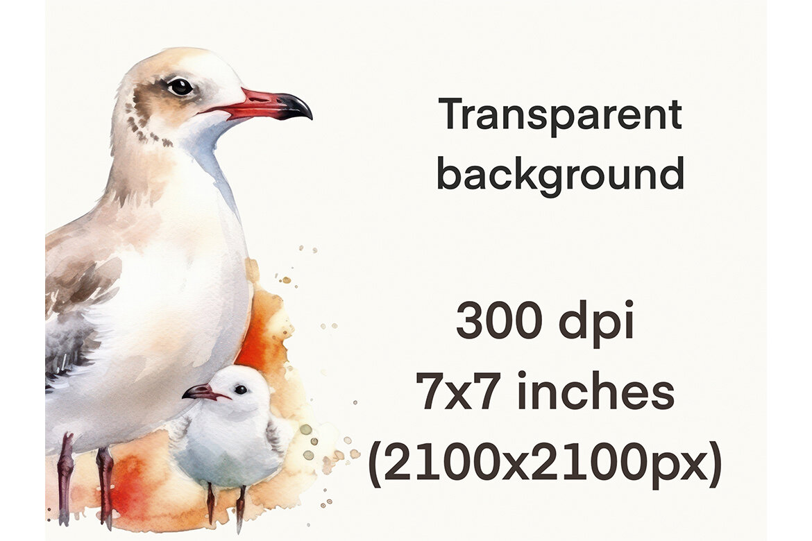 FREE Watercolor Seagull PNG Bundle - view 6
