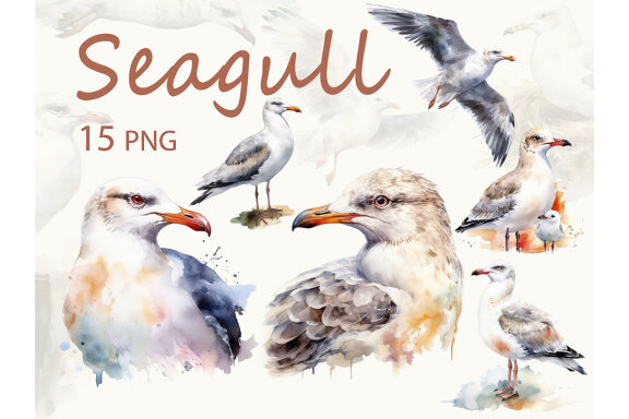 FREE Watercolor Seagull PNG Bundle