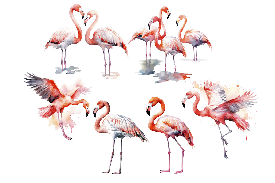 FREE Watercolor Flamingo PNG Bundle - view 4