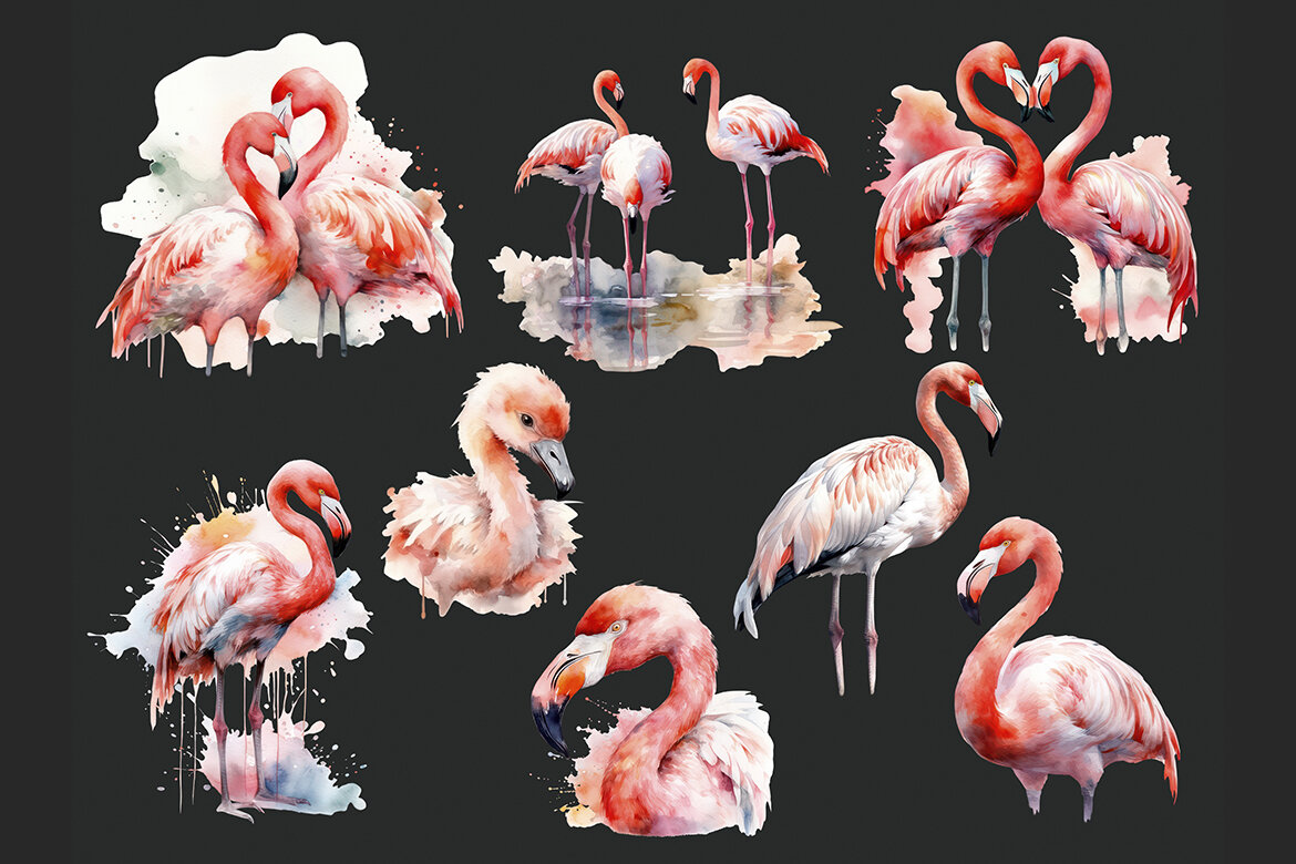FREE Watercolor Flamingo PNG Bundle - view 3