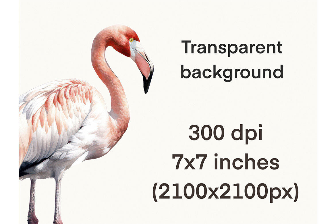 FREE Watercolor Flamingo PNG Bundle - view 6