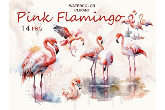 FREE Watercolor Flamingo PNG Bundle
