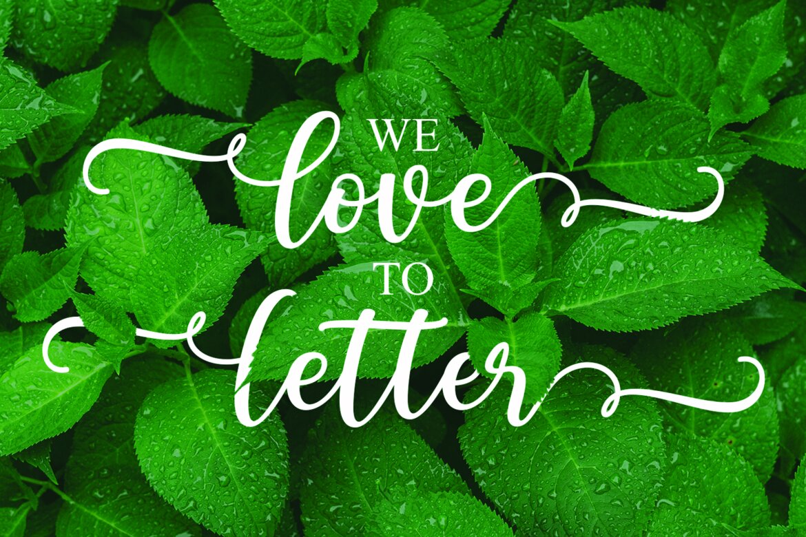 Adiline FREE Script alternate