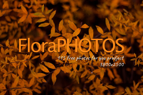 115 FREE Flora Photos